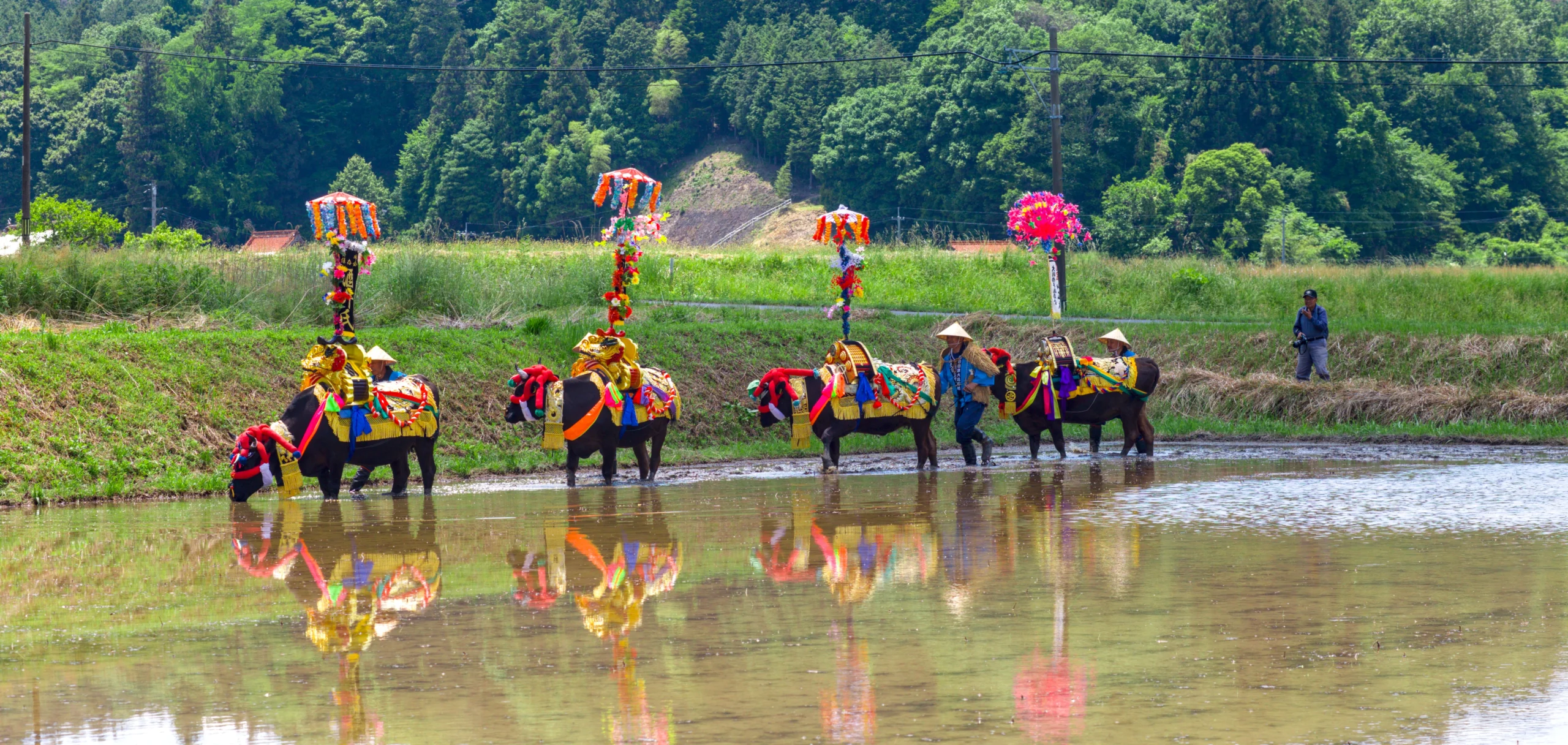 信原田楽大花田植の撮影ガイド！三次の伝統を美しく切り取る【広島】