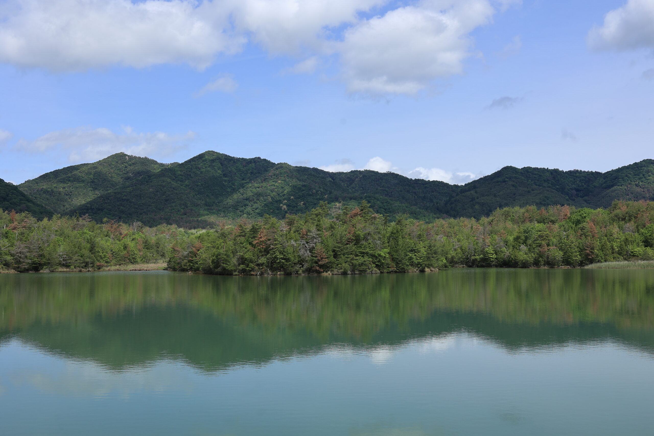 光と影が織りなす新天地。フォトグラファーが恋した「広島」のドラマチックな風景と、新たな旅立ちの記憶