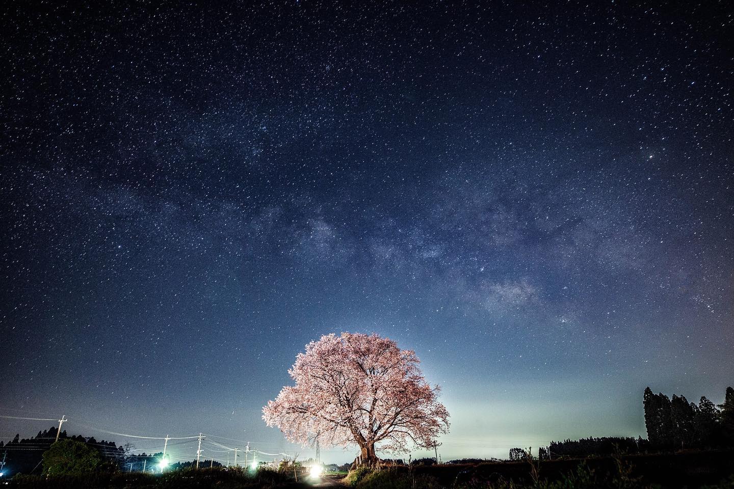 国富町】大坪の一本桜と天の川 | TORUHITO 撮る人